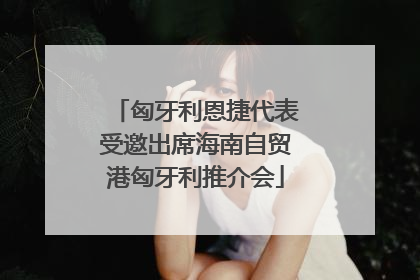 匈牙利恩捷代表受邀出席海南自贸港匈牙利推介会
