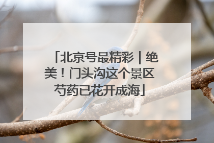 北京号最精彩｜绝美！门头沟这个景区芍药已花开成海