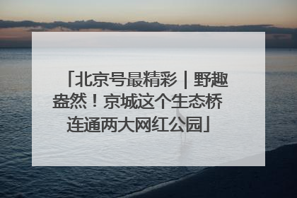 北京号最精彩｜野趣盎然！京城这个生态桥连通两大网红公园