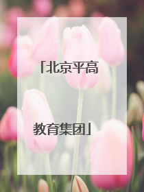 北京平高教育集团