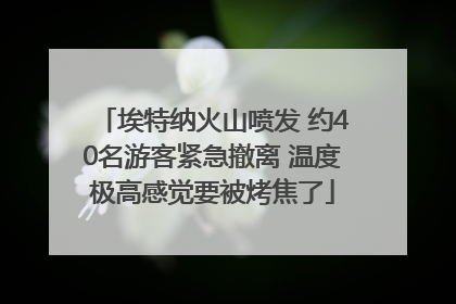 埃特纳火山喷发 约40名游客紧急撤离 温度极高感觉要被烤焦了