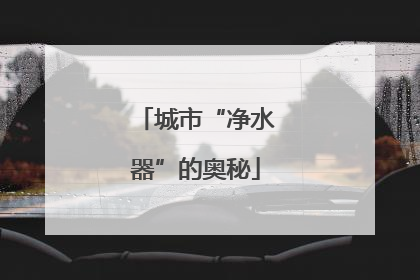 城市“净水器”的奥秘