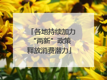 各地持续加力“两新”政策 释放消费潜力