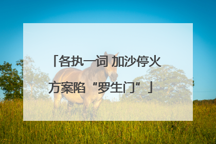各执一词 加沙停火方案陷“罗生门”