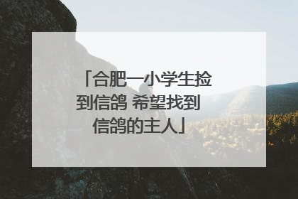 合肥一小学生捡到信鸽 希望找到信鸽的主人