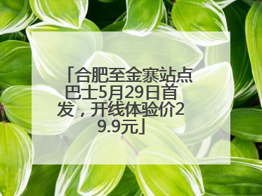 合肥至金寨站点巴士5月29日首发，开线体验价29.9元