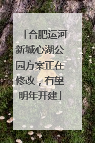 合肥运河新城心湖公园方案正在修改，有望明年开建