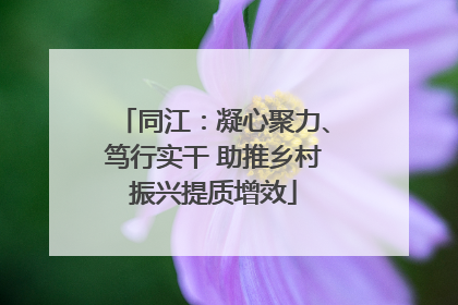 同江：凝心聚力、笃行实干 助推乡村振兴提质增效