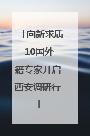 向新求质 10国外籍专家开启西安调研行