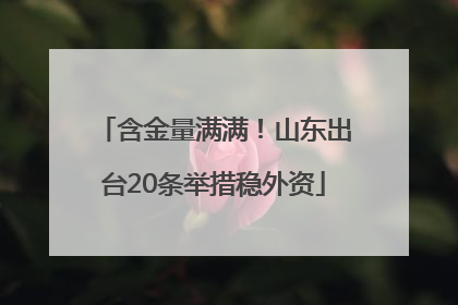 含金量满满！山东出台20条举措稳外资