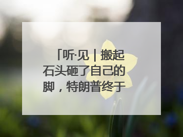 听·见｜搬起石头砸了自己的脚，特朗普终于“慌”了！