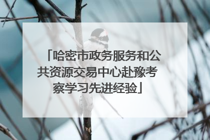 哈密市政务服务和公共资源交易中心赴豫考察学习先进经验
