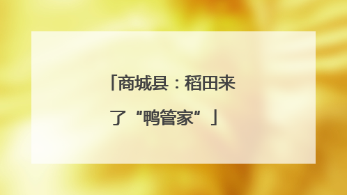 商城县：稻田来了“鸭管家”