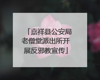 嘉祥县公安局老僧堂派出所开展反邪教宣传