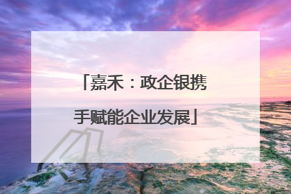嘉禾：政企银携手赋能企业发展