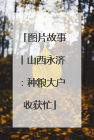 图片故事丨山西永济：种粮大户收获忙