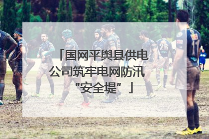 国网平舆县供电公司筑牢电网防汛“安全堤”