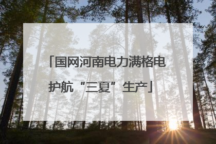 国网河南电力满格电护航“三夏”生产