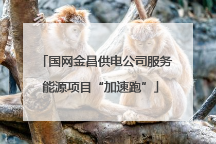 国网金昌供电公司服务能源项目“加速跑”