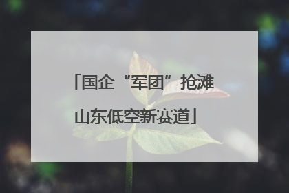 国企“军团”抢滩山东低空新赛道