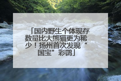 国内野生个体现存数量比大熊猫更为稀少！扬州首次发现“国宝”彩鹮