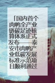 国内首个肉鸭全产业链碳足迹核算体系正式发布——泰安市肉鸭产业低碳发展标准示范项目顺利通过验收