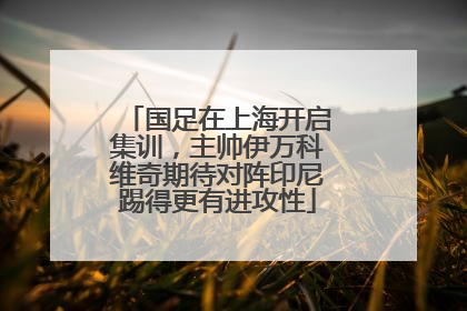 国足在上海开启集训，主帅伊万科维奇期待对阵印尼踢得更有进攻性
