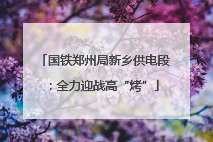 国铁郑州局新乡供电段：全力迎战高“烤”