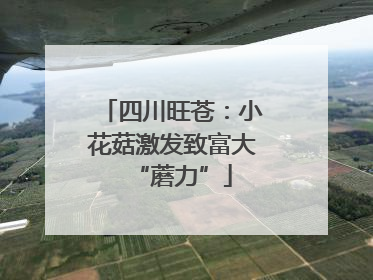 四川旺苍：小花菇激发致富大“蘑力”