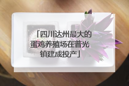 四川达州最大的蛋鸡养殖场在普光镇建成投产