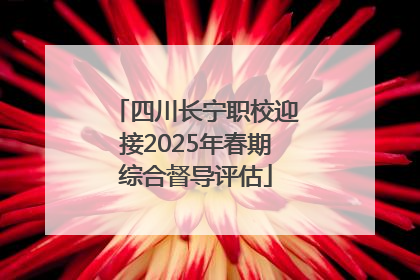 四川长宁职校迎接2025年春期综合督导评估