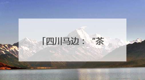 四川马边：“茶旅融合”共绘民族团结新画卷