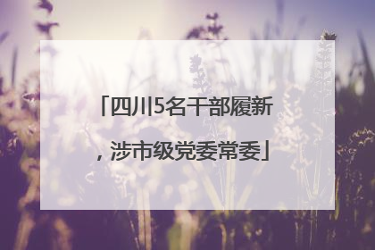 四川5名干部履新，涉市级党委常委