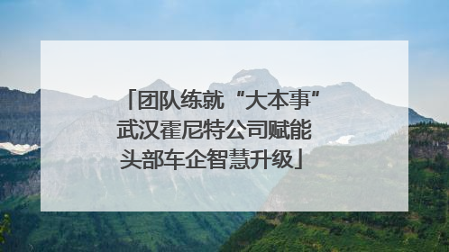 团队练就“大本事” 武汉霍尼特公司赋能头部车企智慧升级