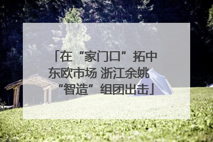 在“家门口”拓中东欧市场 浙江余姚“智造”组团出击