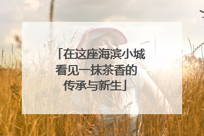 在这座海滨小城 看见一抹茶香的传承与新生