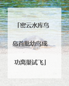 密云水库鸟岛首批幼鸟成功离巢试飞