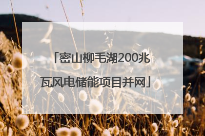 密山柳毛湖200兆瓦风电储能项目并网