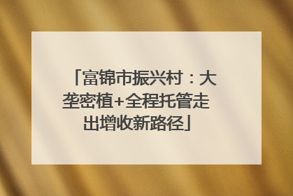 富锦市振兴村：大垄密植+全程托管走出增收新路径