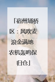 宿州埇桥区：风吹麦浪金满地 农机轰鸣保归仓