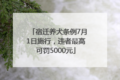 宿迁养犬条例7月1日施行，违者最高可罚5000元