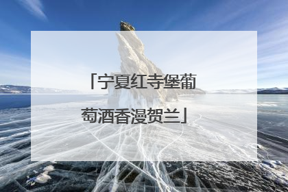 宁夏红寺堡葡萄酒香漫贺兰