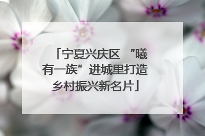 宁夏兴庆区 “曦有一族”进城里打造乡村振兴新名片