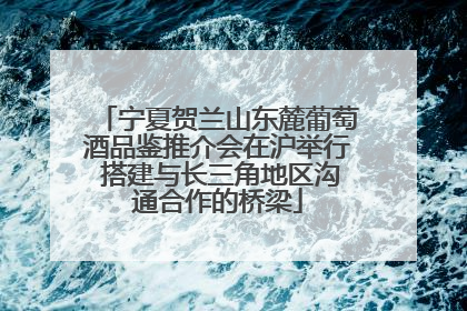 宁夏贺兰山东麓葡萄酒品鉴推介会在沪举行 搭建与长三角地区沟通合作的桥梁