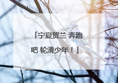 宁夏贺兰 奔跑吧 轮滑少年！