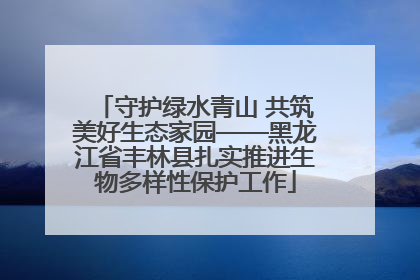 守护绿水青山 共筑美好生态家园——黑龙江省丰林县扎实推进生物多样性保护工作
