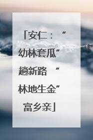 安仁：“幼林套瓜”趟新路 “林地生金”富乡亲