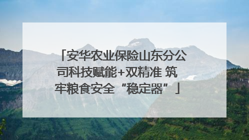 安华农业保险山东分公司科技赋能+双精准 筑牢粮食安全“稳定器”