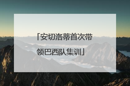 安切洛蒂首次带领巴西队集训