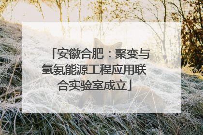 安徽合肥：聚变与氢氨能源工程应用联合实验室成立